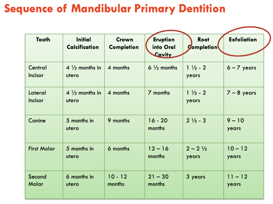 Mandibular primary dentition eruption sequence
